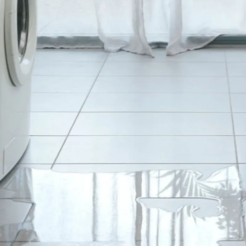 Appliance Leak Cleanup in Delphos, OH