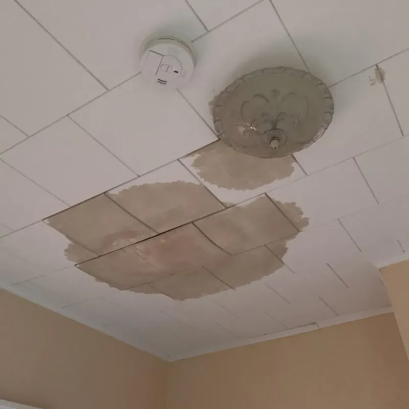 Ceiling Water Damage Repair in Delphos, OH