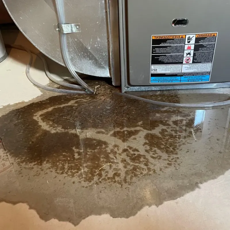 Pipe Burst and Leak Restoration in Delphos, OH