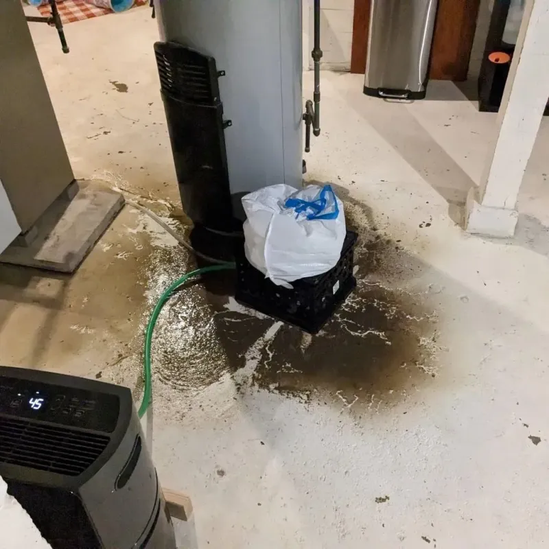 Sewage Backup Cleanup Service in Delphos, OH